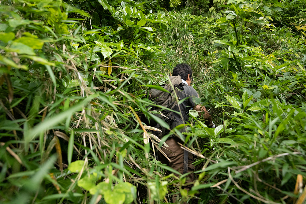 道なき道を突き進む。「地形と植生で把握しているから、ライトがなくても帰れる」と長谷川さん。