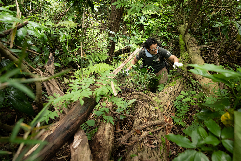 山との付き合いはロングスパン。倒れる、枯れる、芽吹く、すべての営みを見続ける。