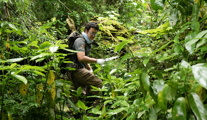 自然界の生命をシェフへ届ける。
