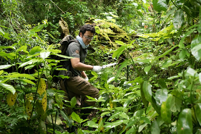 自然界の生命をシェフへ届ける。