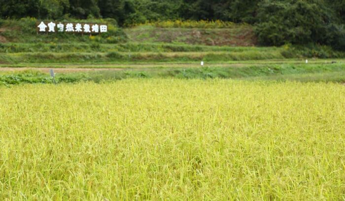 ようこそ発酵蔵へ【日本酒　Sake】