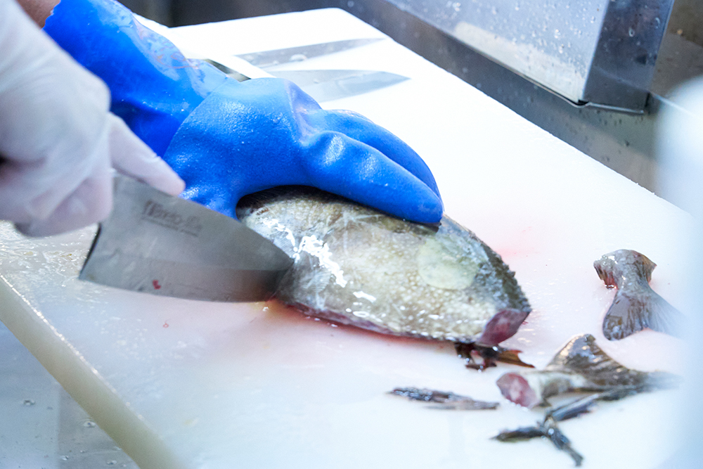 毒針をもち、捌くのが難しいため敬遠される「アイゴ」。加工は凍結まで一つ一つ手作業で行う。