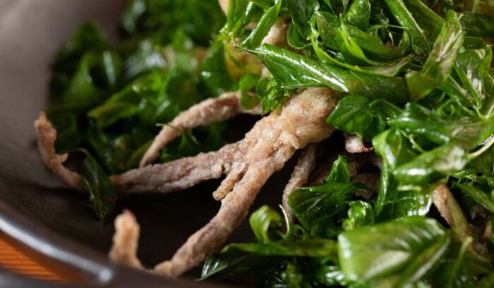 食材に生命を吹き込む、10の発想とアプローチ