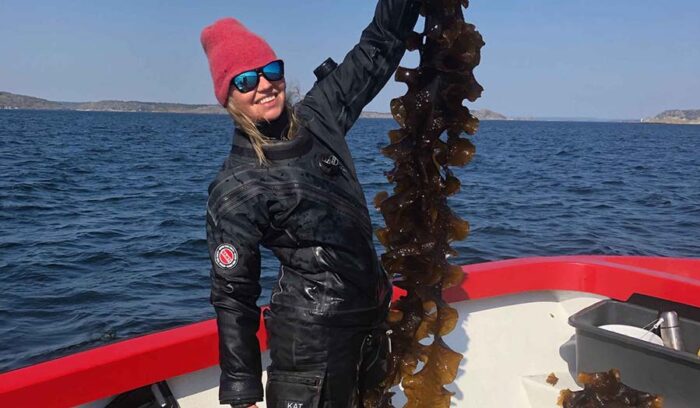 海藻はスーパーベジタブル！ ２人の海洋学者が立ち上げた海藻ビジネス