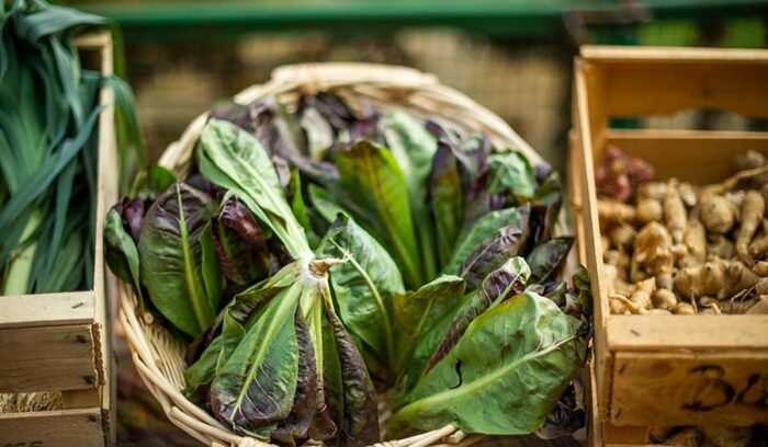 高級ホテルが取り組む“魂のための”菜園プロジェクト