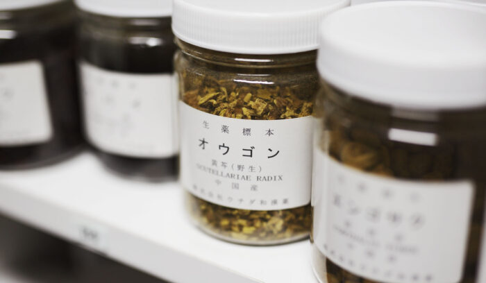 人生100年時代！「未病」を改善する食べ方とは？【生涯現役レシピ】