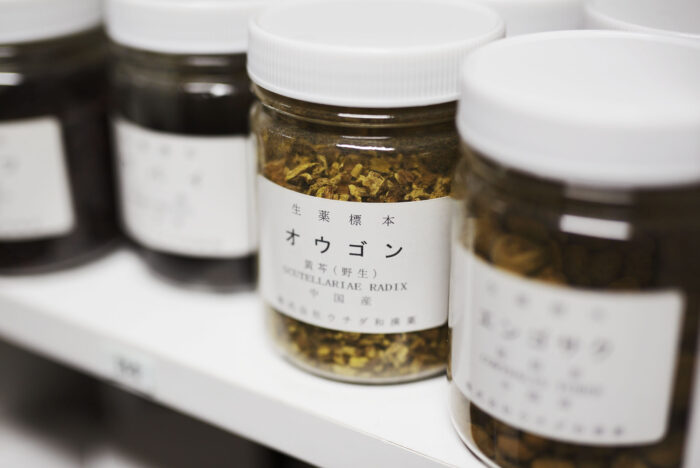 人生100年時代！「未病」を改善する食べ方とは？【生涯現役レシピ】