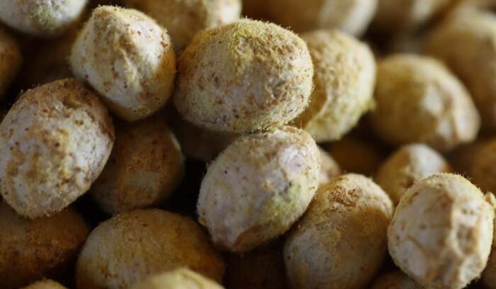 【ようこそ発酵蔵へ】糸は引かない。中国生まれ、日本育ちの発酵豆「浜納豆」