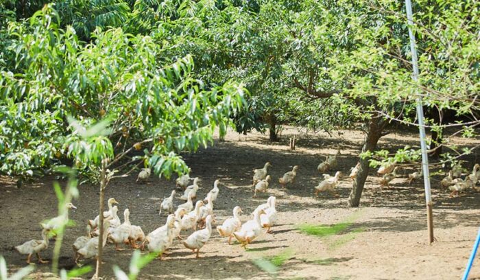 その挑戦が、未来を変える。農業王国・茨城の継ぎ人たちの哲学 