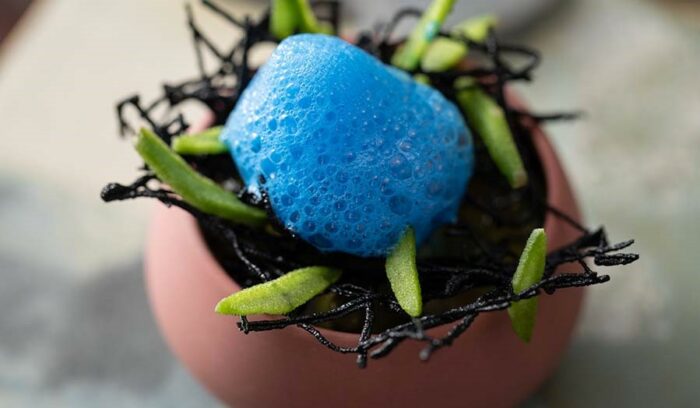 ペルーの自然と生態系を表現する「MAZ」の新しいガストロノミー体験