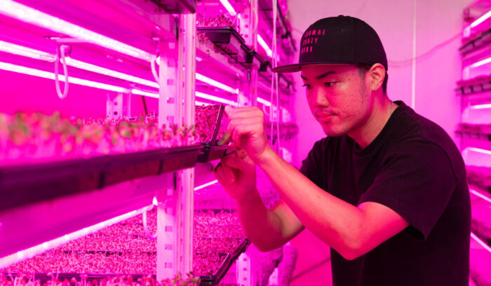 東京の町工場跡で実現する室内農業の新スタイル「江戸前ハーブ」