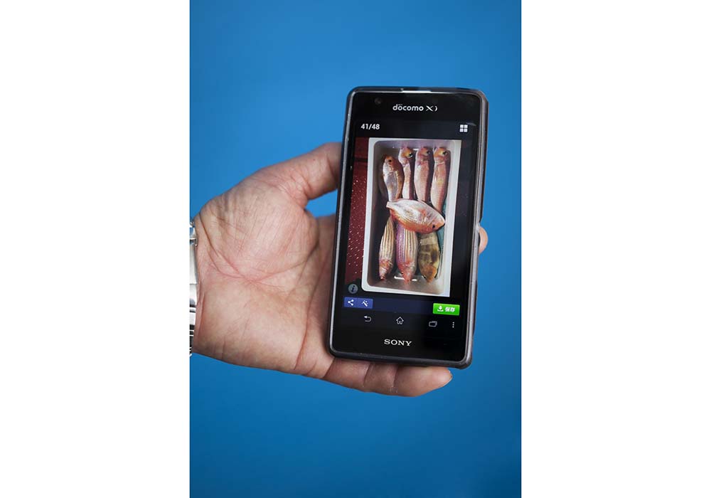 坪内さん、長岡さんのスマホには、漁師からの写真が続々と送られてくる。飲食店に送る「鮮魚BOX」の内容だ。以前は坪内さんが、仕分けを担当していたが、１年かけて漁師自ら飲食店と交渉できるようになった。