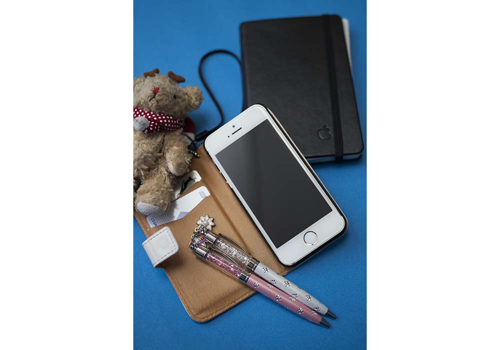 仕事道具は都会のビジネスウーマンと同じように、スマホや手帳など。坪内さん自身は漁には出ない。最近は新規顧客とのミーティングや講演会が多いという。