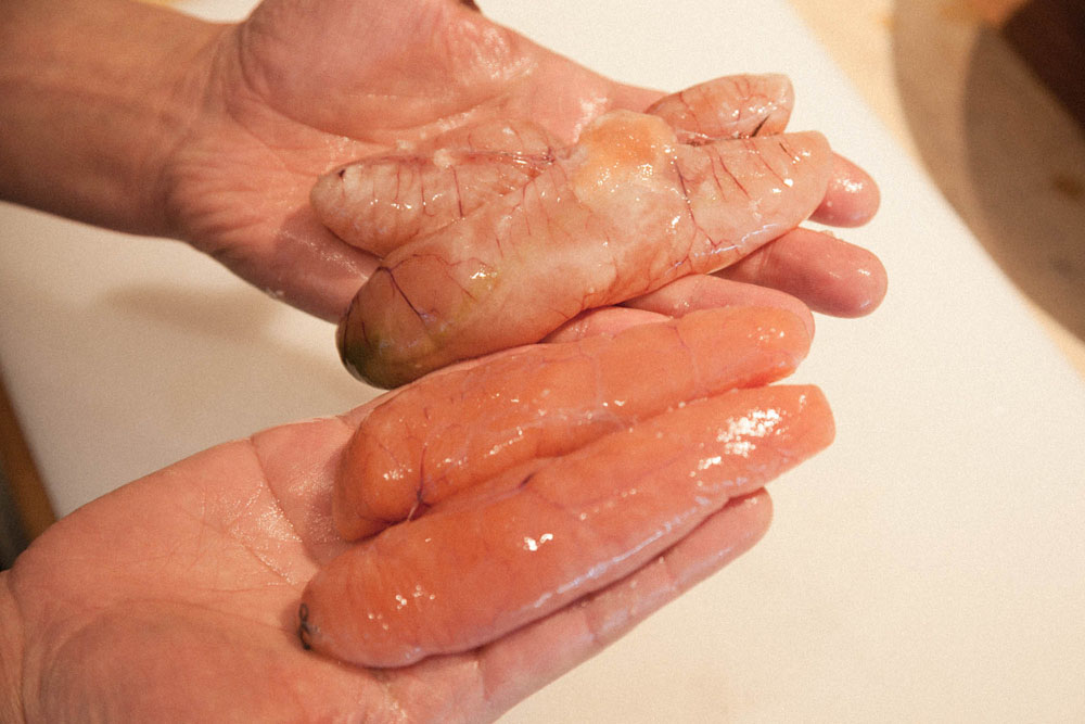 材料のポイント