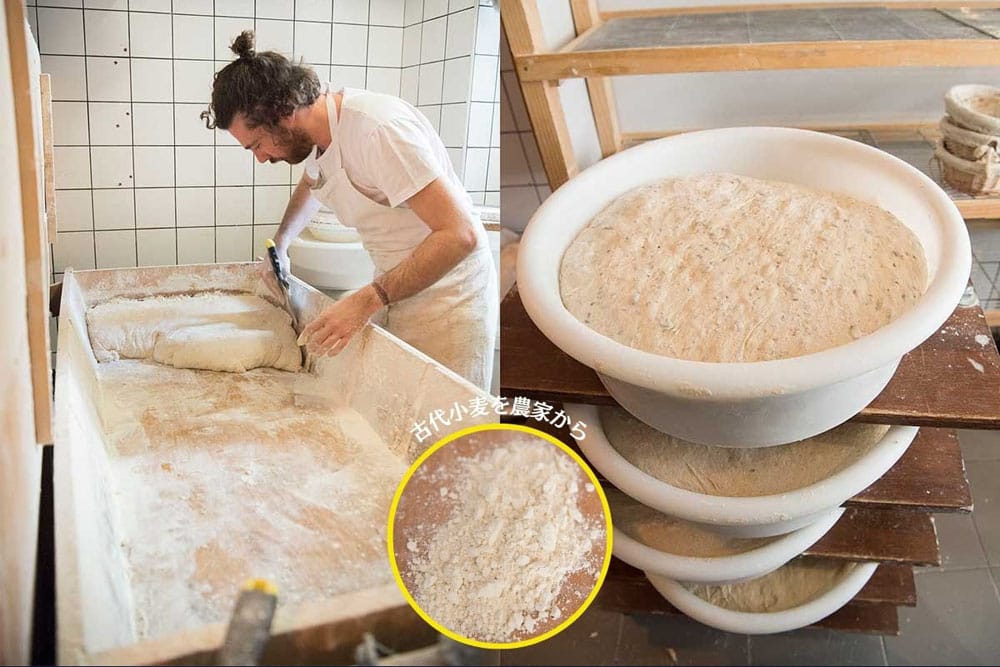 （写真左）ビュシさんの父親が作った木の捏ね台で生地を捏ね、大きく分割する。 （写真右）常温で一次発酵中の種子入りパンの生地。この間に２回、パンチを行う。使うのは農家から届く古代小麦プティ・エポートルなどの粉。