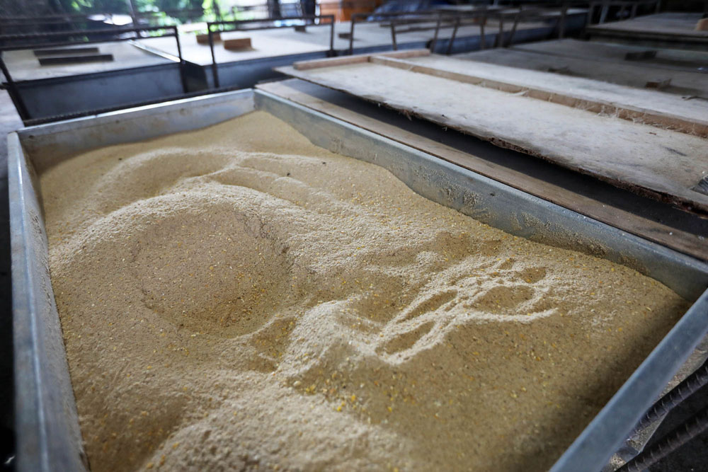 泡盛粕と微生物、穀物飼料を発酵機にかけて寝かせ、オリジナルの飼料を作成。微生物が発する熱で水分が抜け、きな粉のようにさらさらとして無臭。脂の融点を下げる効果もあるといわれる。