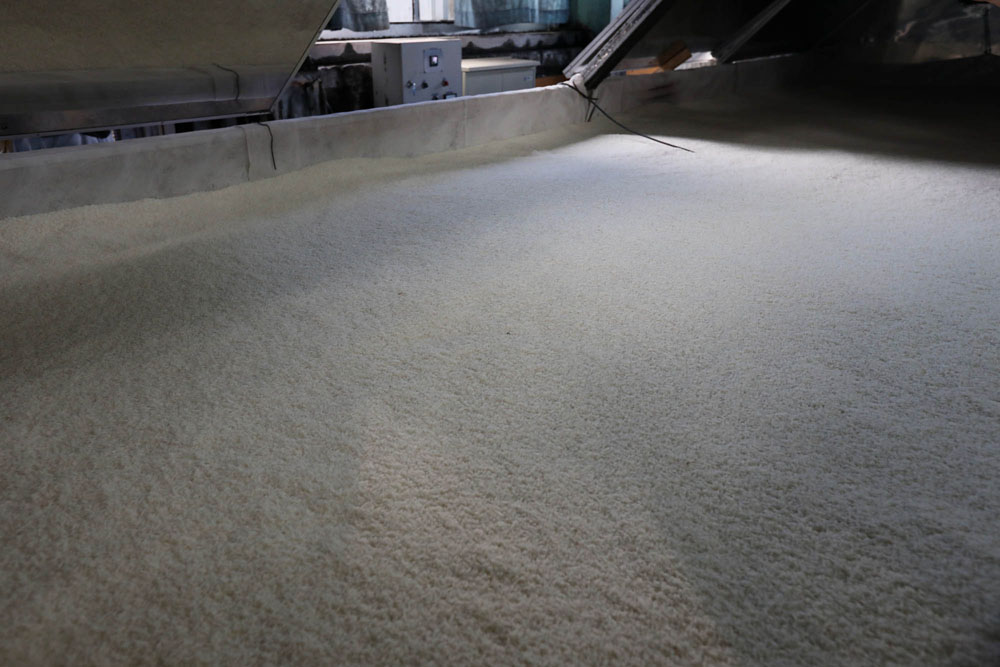 回転ドラム式装置の中で黒麹菌を散布された蒸米を三角棚に移し、一昼夜かけて麹菌を繁殖させる。健全な発酵に必要な酵素、クエン酸を引き出すため、自動制御による温度・送風管理を徹底。