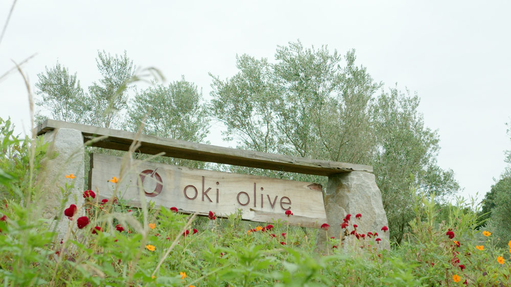 フランス人アーティストが残した農園の看板。