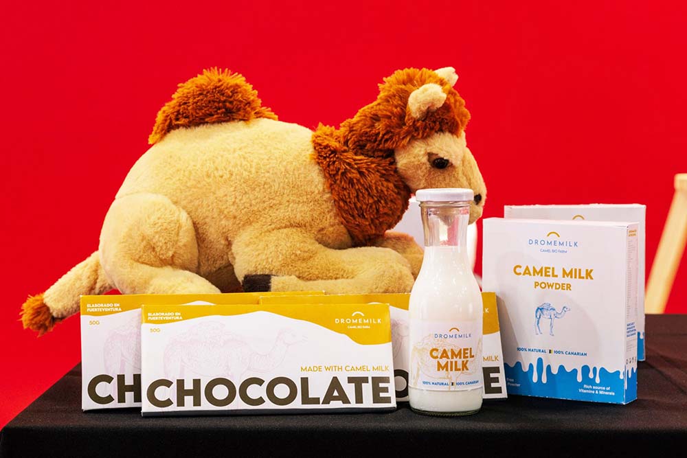 （写真）アレルゲンを含む割合も低いラクダ乳。豆乳よりも消化が早いことが科学的に立証されている。飲料やヨーグルト、チョコレートといった加工食品を展開予定。