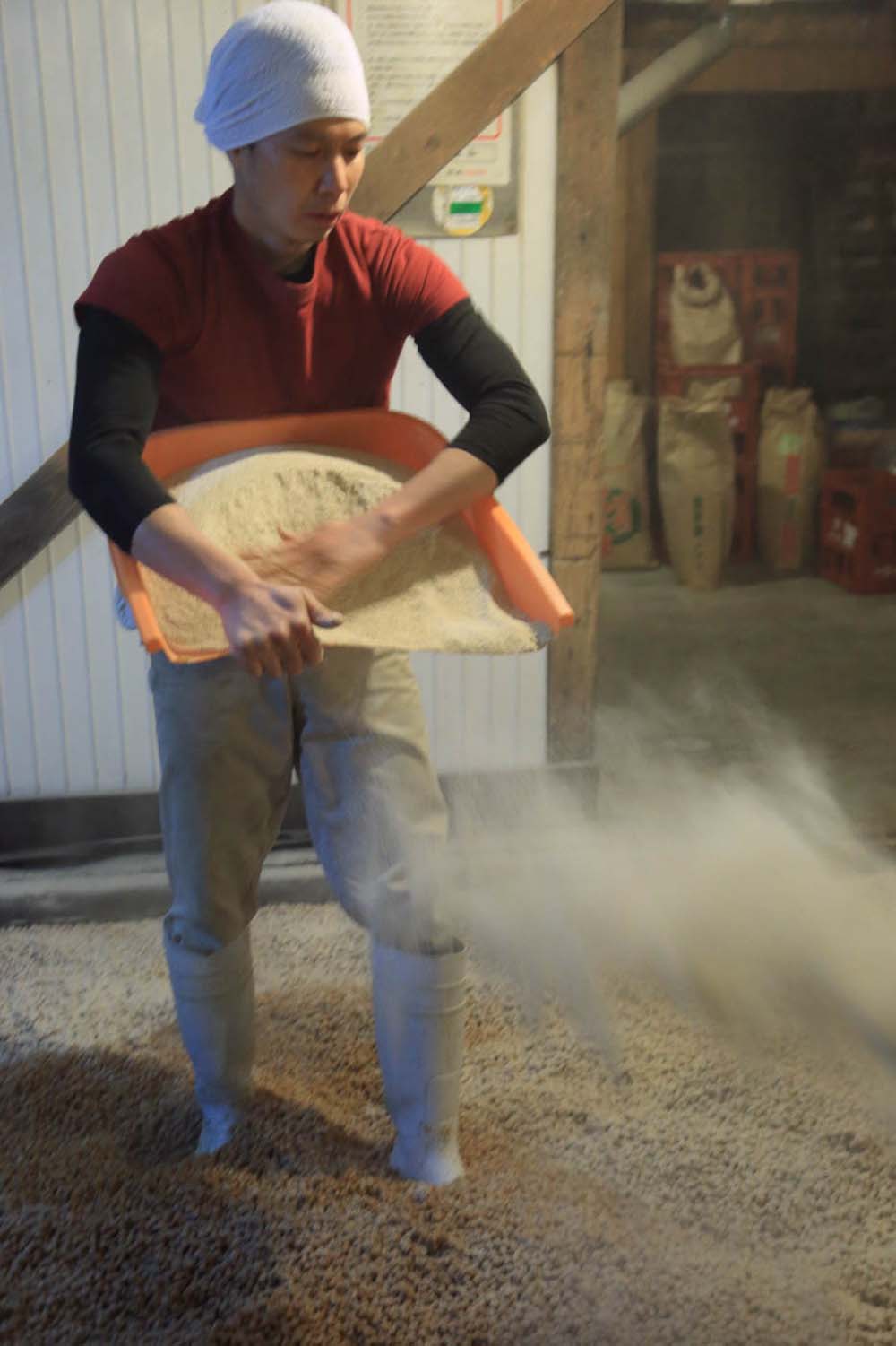 蒸した大豆を広げて冷ましたら、炒って砕いた小麦を混ぜ、麹菌を撒き、スコップを使って混ぜ合わせる。