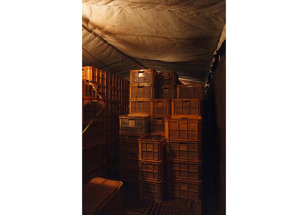 室の中は外よりも空気が柔らかい。