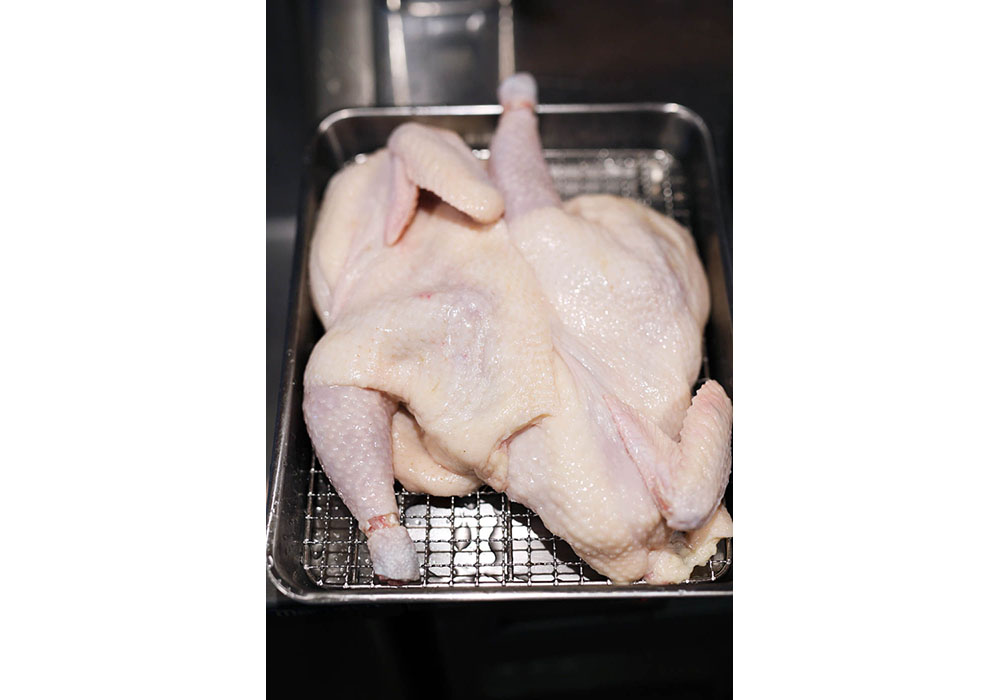 バットに乗った鶏