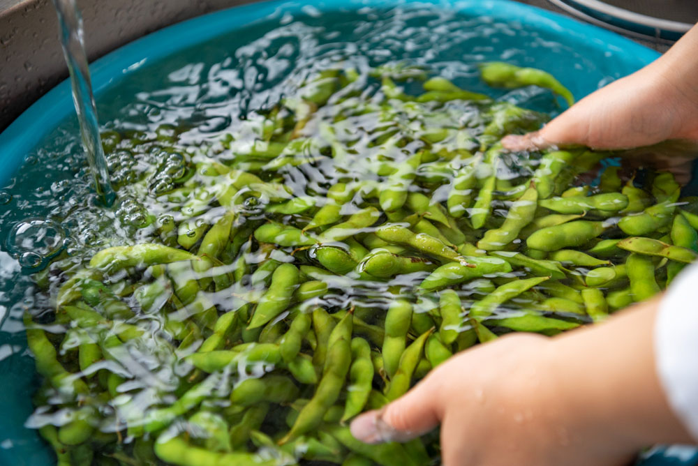 塩もみした毛豆を水で洗う。表面の産毛が取れている。 [３]毛豆をゆでる