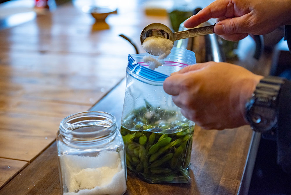 保存袋に毛豆、重量の３％の塩、全体が浸かる量の水（分量外）を入れる。 POINT:食べる時期に合わせて塩分の濃度を変えて発酵のスピードを調整する。 [６]重石をして漬ける