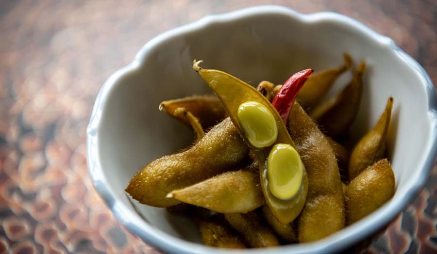 日本各地に残る保存食、発酵食、郷土食に食べつなぐためのサバイバル・テクニックを探る連載。青森「津軽あかつきの会」に「豆漬け」を教わります。