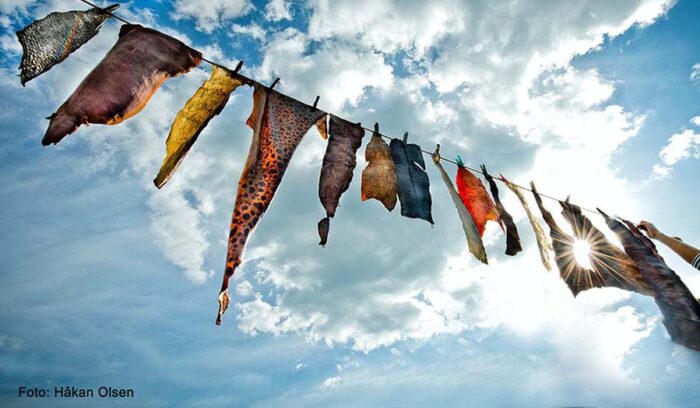 Sweden [Stockholm] 捨てられてしまう魚の皮を、サステナ素材として活用しよう！