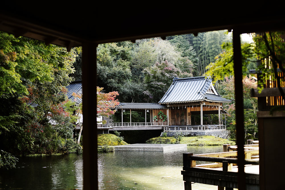 敷地内には目の前の桂川から水を引き込んで造られた広大な池が広がる。旅館と池を挟んで向かい合う能舞台「月桂殿」では、季節に応じて能楽、狂言、文楽などを上演。ライトアップで浮かび上がる夜の能舞台の眺めも別格の美しさ。