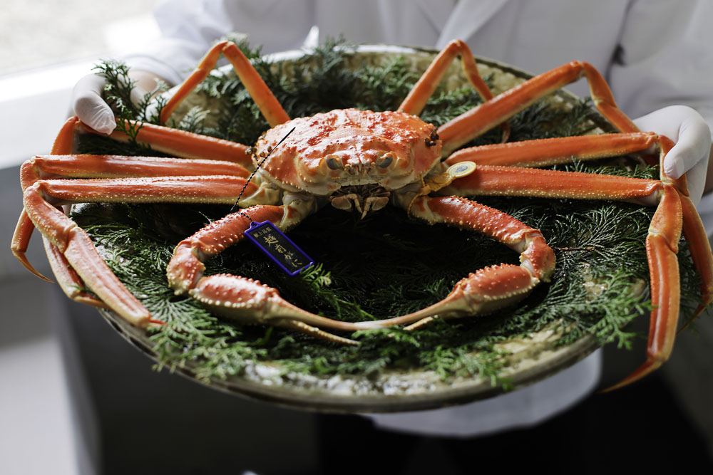 チェックインを終えた宿泊客には、その日に調理するカニの生きた姿を見てもらうのがならわし。甲羅に付いた黒い斑点はカニビルの卵。一般的に、脱皮後に十分成長し身もしっかり入ったカニであることの証左となる。
