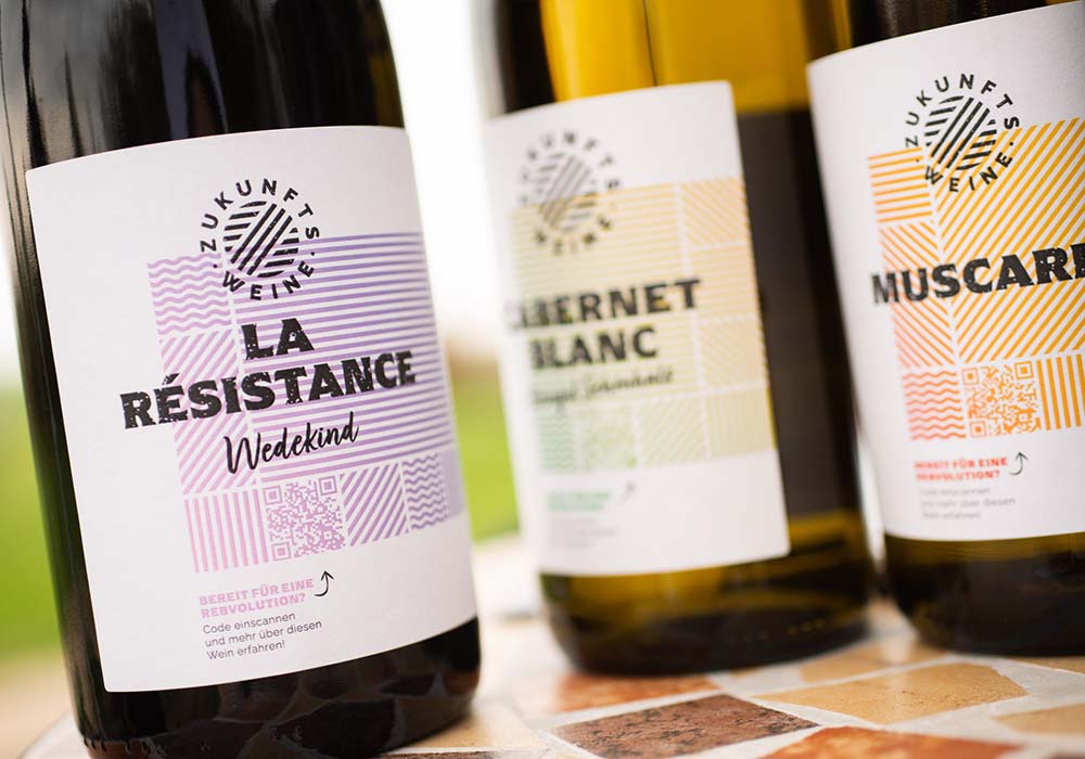 2030年までに農薬の使用を半減するための法案をEUが採択したことを受け、ワイン業界は今、大きな転機を迎えている。カビに強い新しいブドウ品種が農家の間で大ブームに。