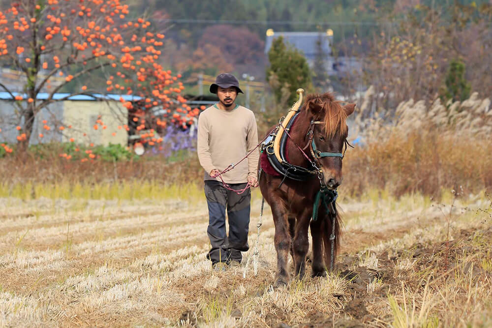 馬の力を借りて田畑を耕し、森を管理する 鳥取・智頭町「森のうまごや」岩田和明