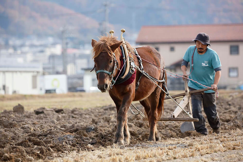 馬と歩く岩田さん