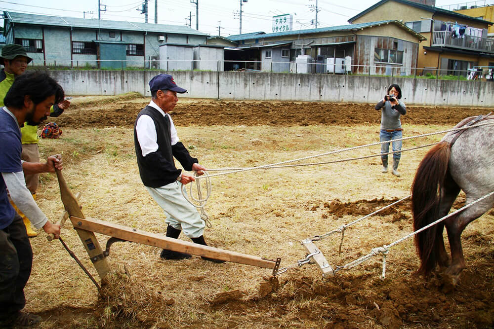 馬耕の経験者から技術を伝授してもらう