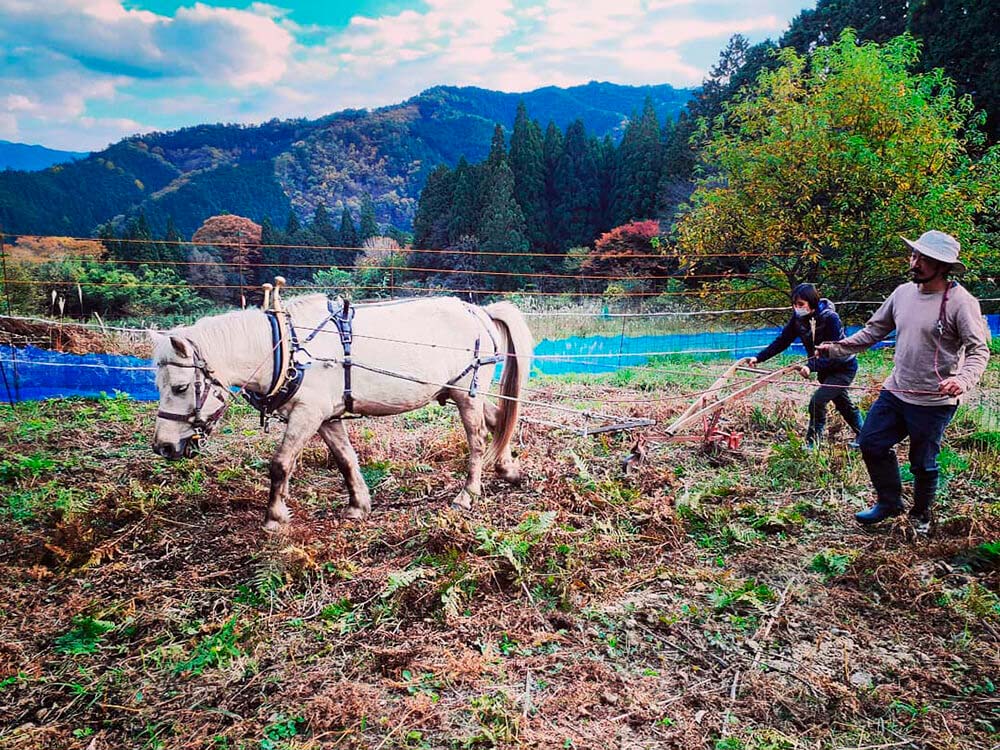 森の中の草地を馬で開墾する。