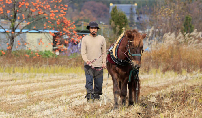 馬の力を借りて田畑を耕し、森を管理する