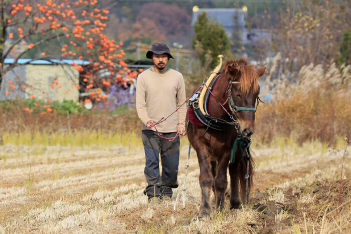 馬の力を借りて田畑を耕し、森を管理する