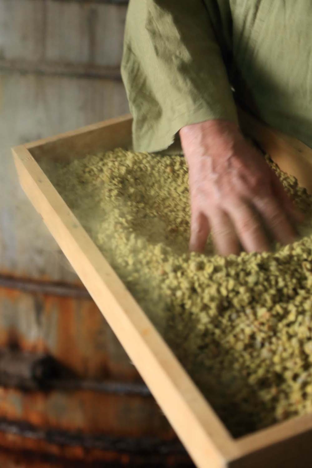 味噌用の種麹を用い、麹蓋で製麹。触ると菌が舞うくらい４日かけてしっかり生やす。