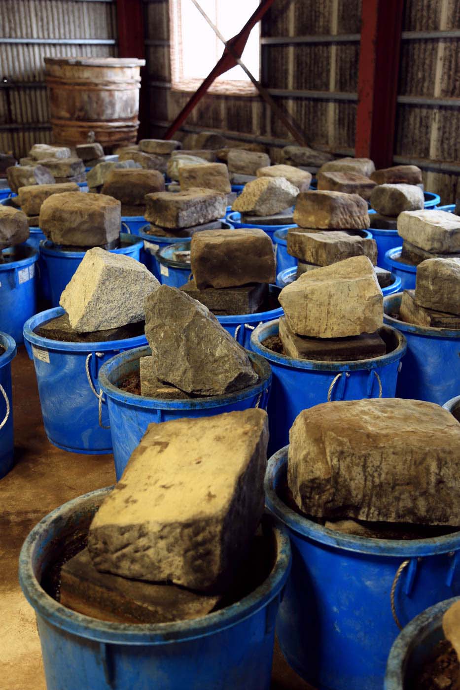 重石をのせて常温で２年熟成。