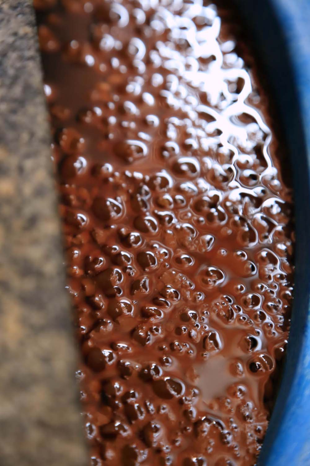 熟成中。まだ豆や麦の粒がしっかり残っている。