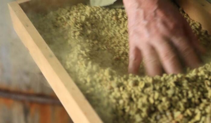 【ようこそ発酵蔵へ】醤油のルーツ？古の調味料「ひしお」