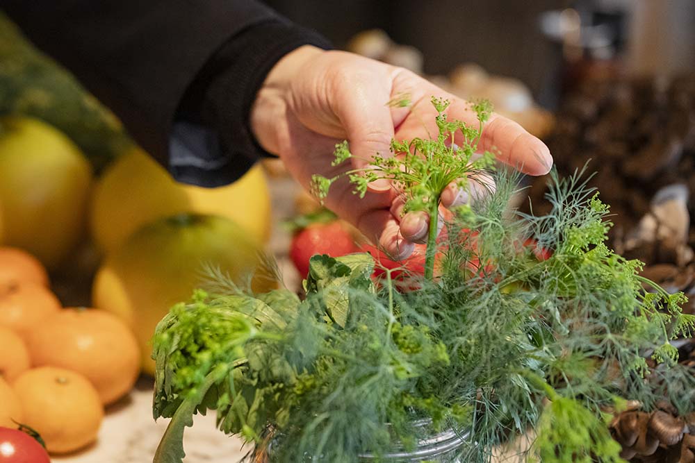 ディルの花。「野菜の花にはエディブルフラワーとは違った魅力がある」と谷山さん。「ラディッシュなら花もラディッシュの味がする。普段、私たちが目にすることのない可愛らしさ、知らない側面を見せてくれる」