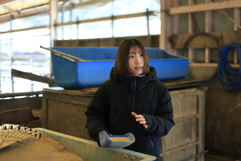 「角がないということは、自分を守る武器がないということ。だから、性格は少し臆病なんですよ」と兼安奈美さん。牛たちが可愛くて仕方がないといった表情が初々しい。