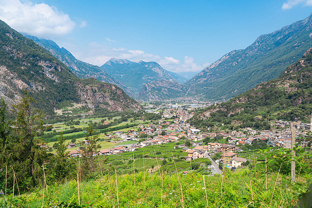 山の牛飼いが湖の底でワインを熟成させるまでの物語