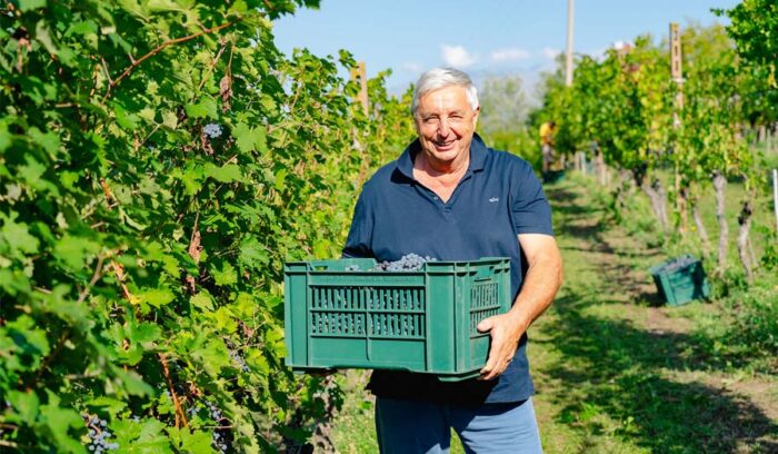 山の牛飼いが湖の底でワインを熟成させるまでの物語