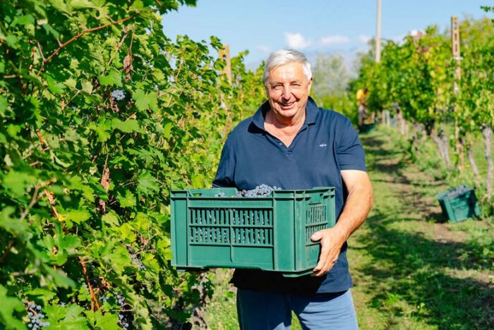 Una storia che parte dalla pastorizia sulle Alpi e arriva a far invecchiare i vini in fondo al lago