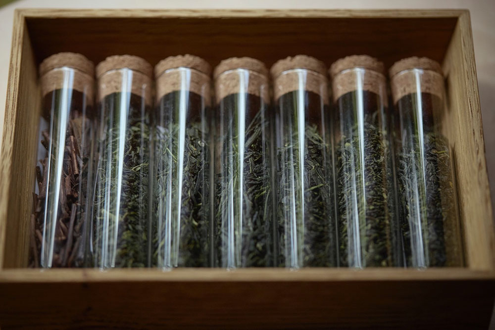 同じ畑の同じ品種の茶葉でも、収穫年が違えば、味わいは異なる。「淹れ分ける」というアプローチが大切だ。