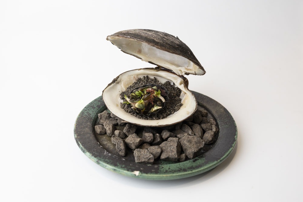 マホガニーと呼ばれる貝の一品。店から10分の距離の海中に生きたまま保存できるのも、島の素材の魅力。